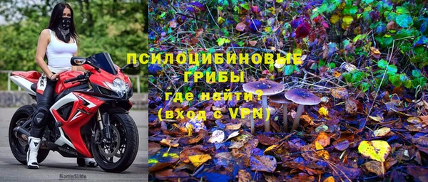 стаф Красноперекопск